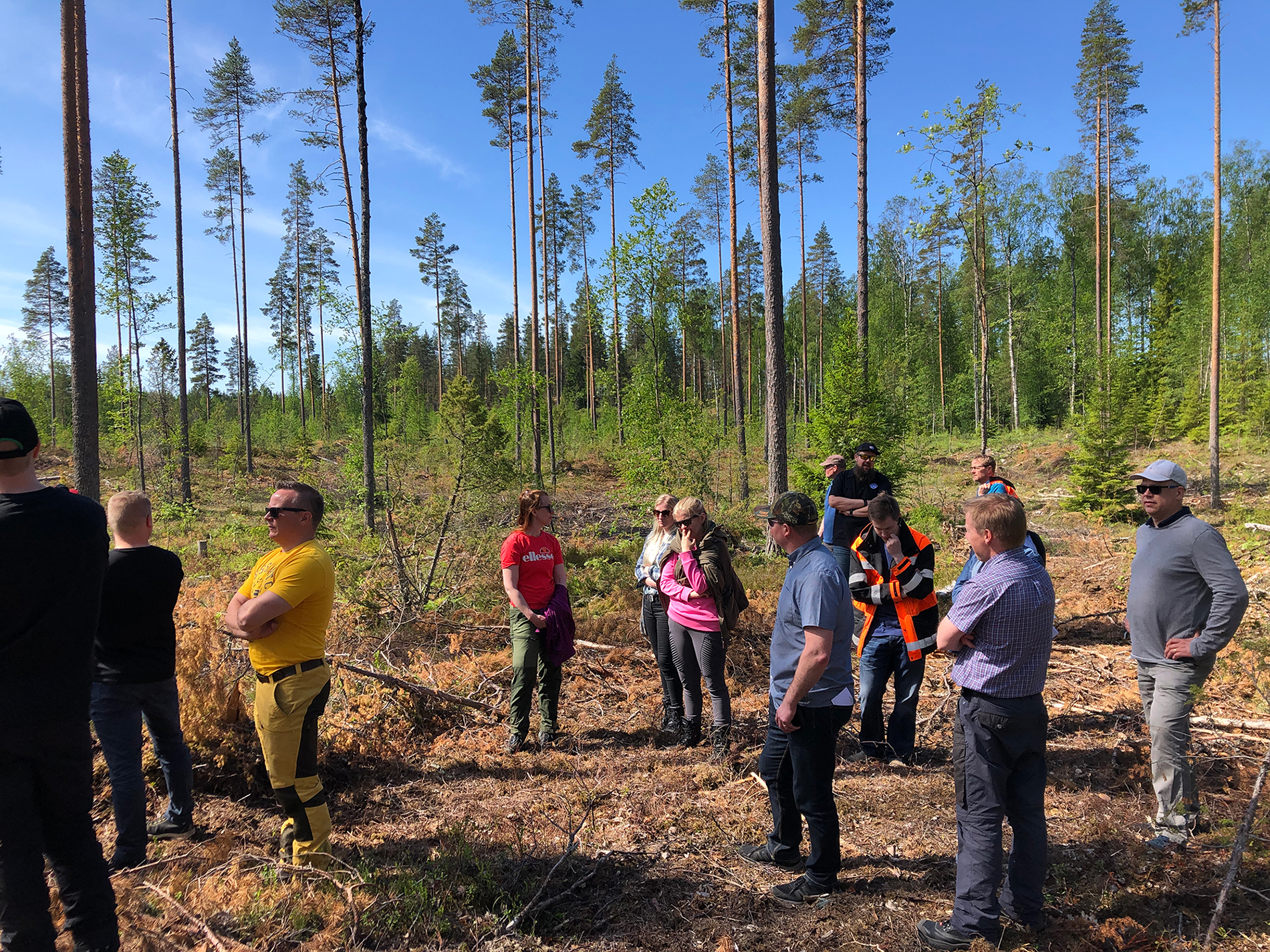 st_www_koskitukki1